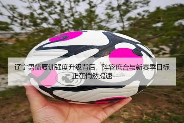 辽宁男篮夏训强度升级背后，阵容磨合与新赛季目标正在悄然提速